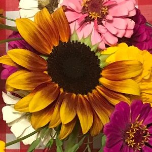 Meet your Posher, Maison